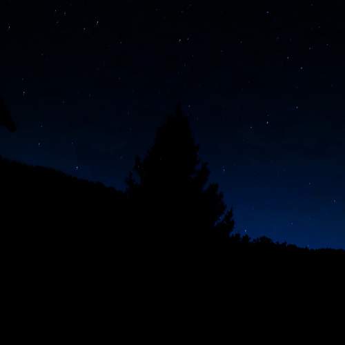 Photo #11986328