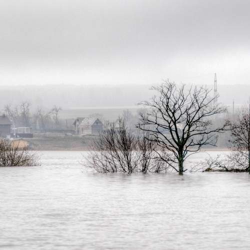 Фотография #11986453