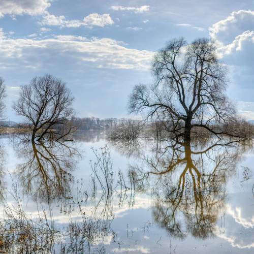 Фотография #11986457