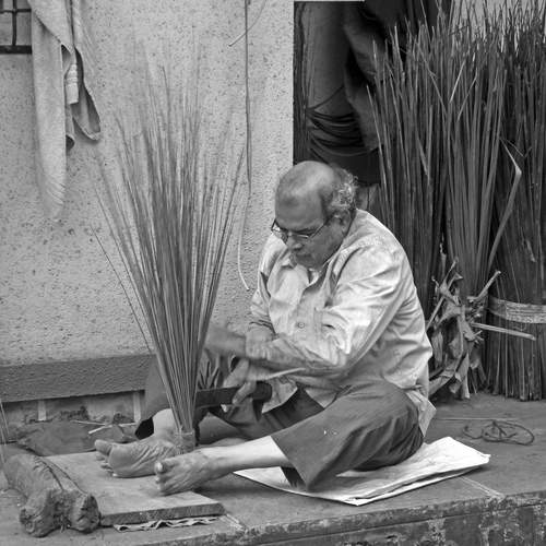Photo #11986485