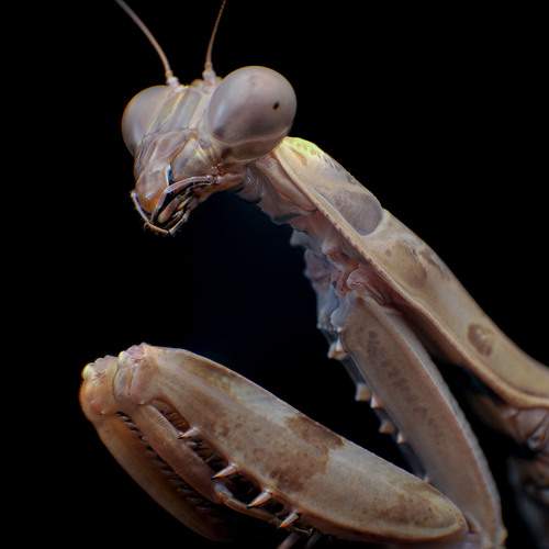 Фотография #11986625