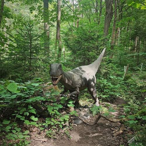 Photo #11986659