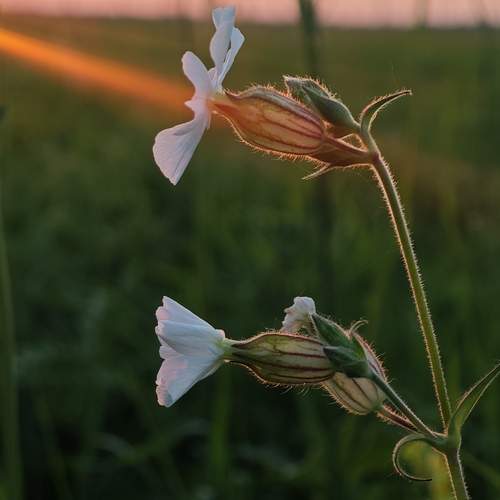Photo #11986865