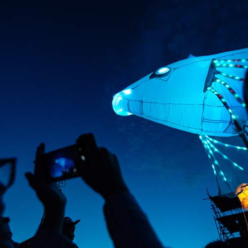 Фотография #11986879