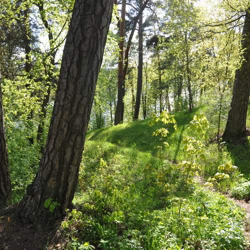 Photo #11986954