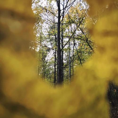 Photo #11986986