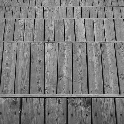 Photo #11986988