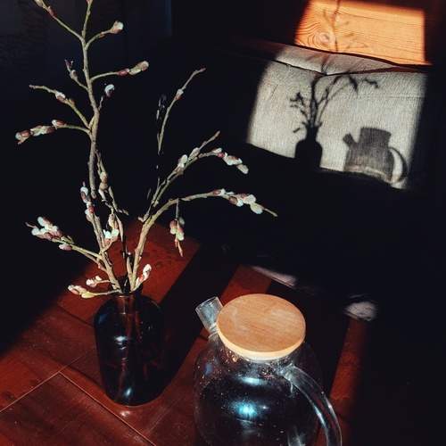 Photo #11987187