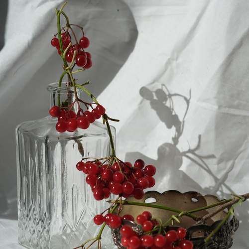 Photo #11987422