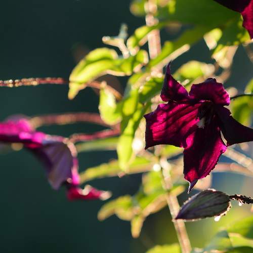 Photo #11987662