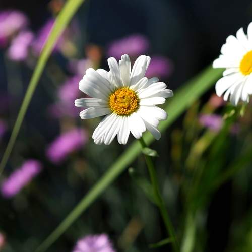 Photo #11987670