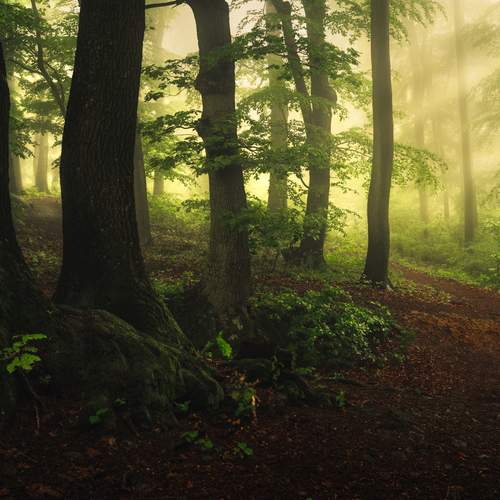 Photo #11987706
