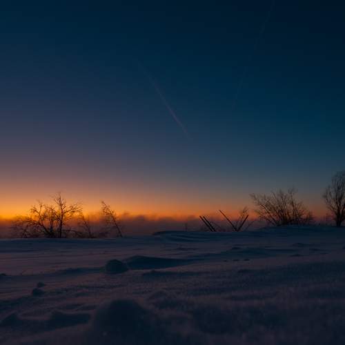 Photo #11988020