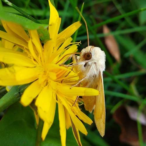 Photo #11988027