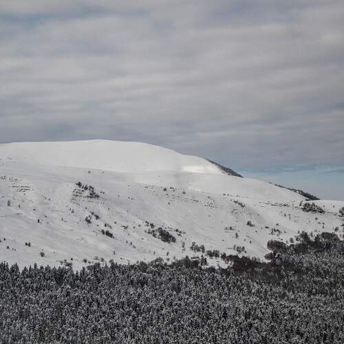 Photo #11988484