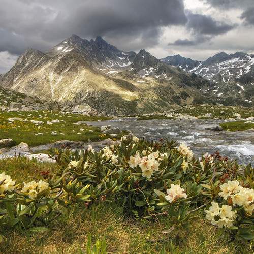 Photo #11988568