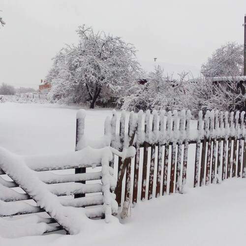 Photo #11988914