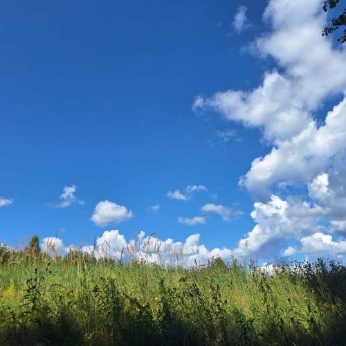 Photo #11988969