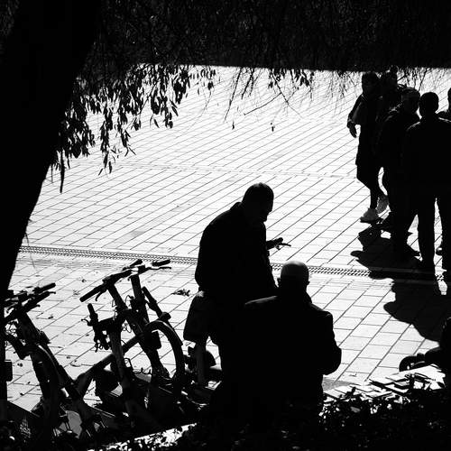 Photo #11989085