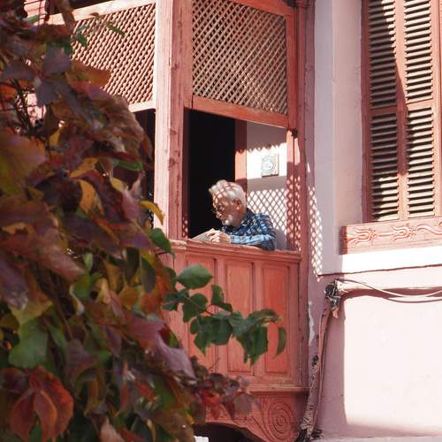 Photo #11989096
