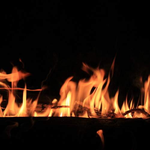 Photo #11989199