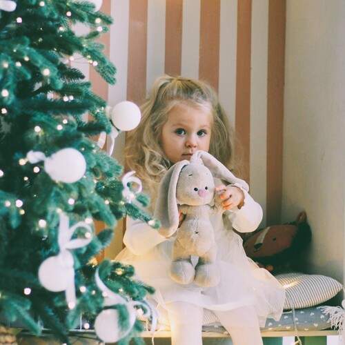Photo #11989285