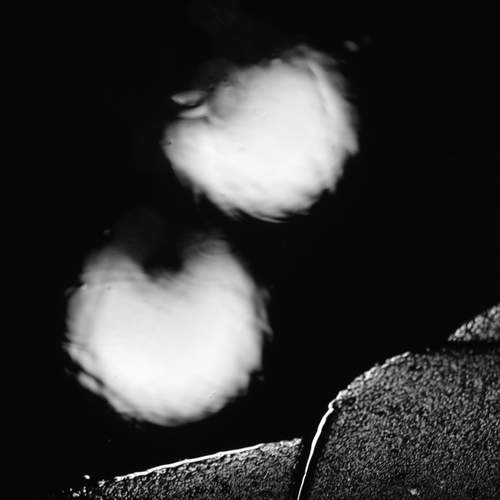 Photo #11989361