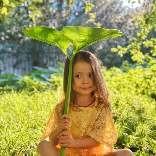 Photo #11989405
