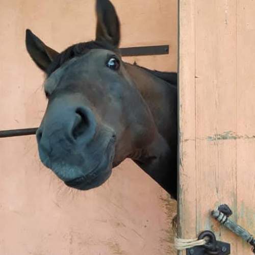 Photo #11989797