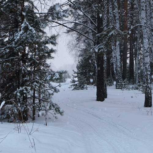 Photo #11989801