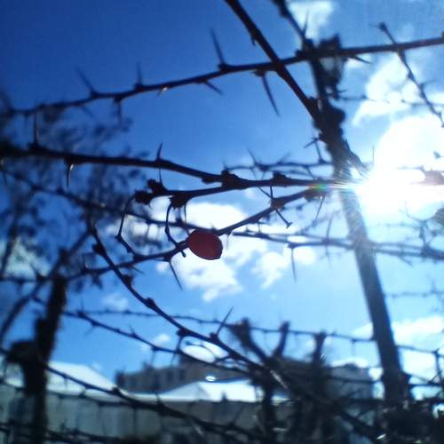 Photo #11989855