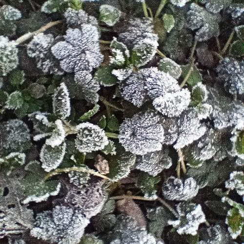 Photo #11989885