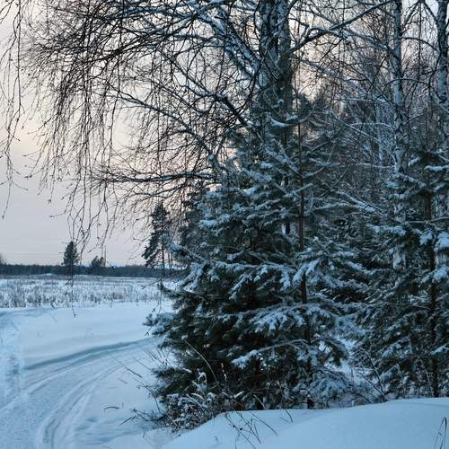 Photo #11989957