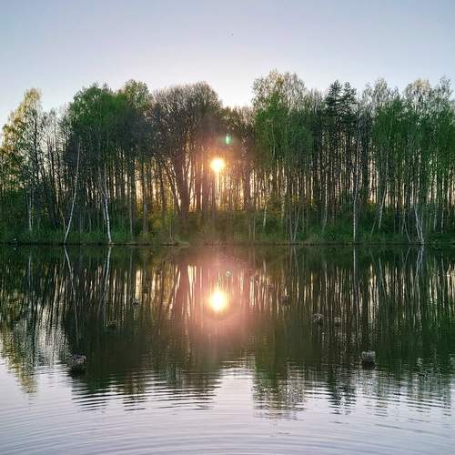 Речной остров