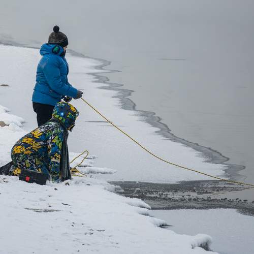 Photo #11990011