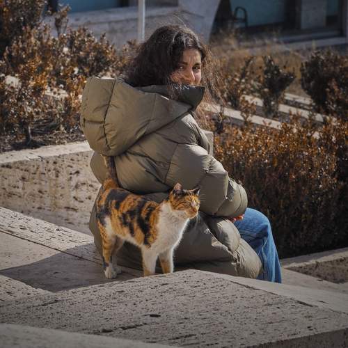 Photo #11990062