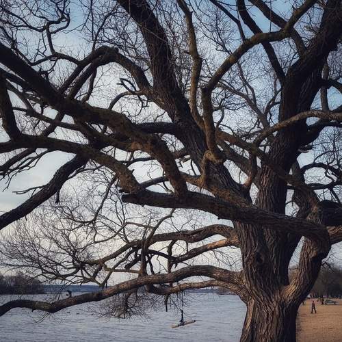 Photo #11990536