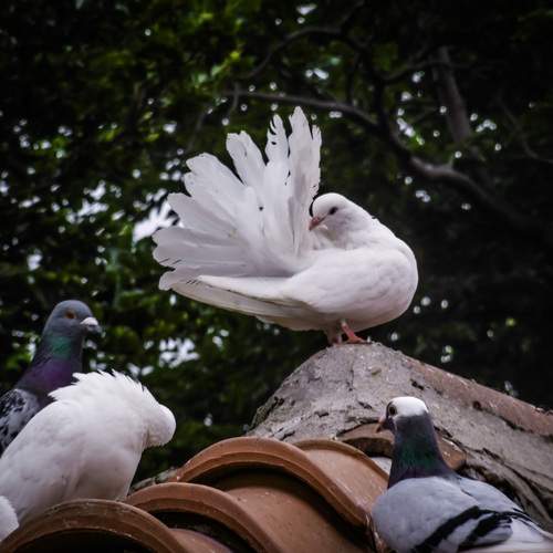 Photo #11990590