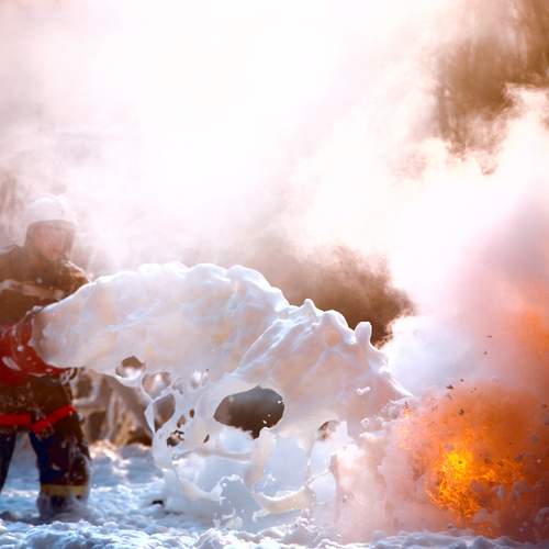 Photo #11990625