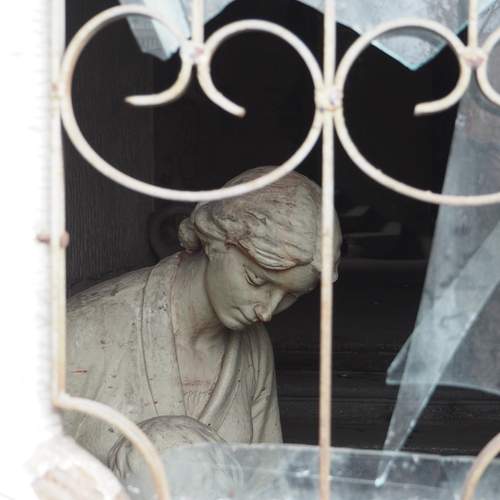 Photo #11990768