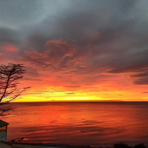 Photo #11991003