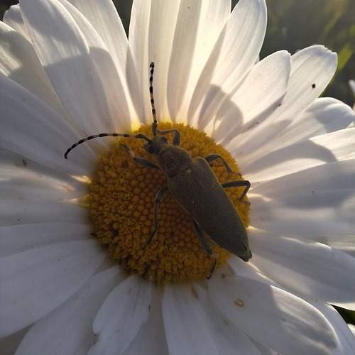 Photo #11991255