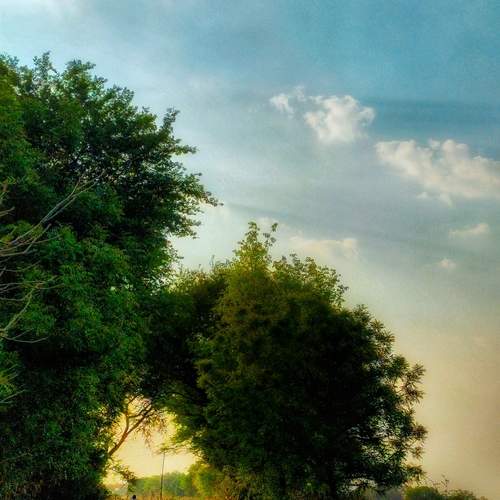 Photo #11991338