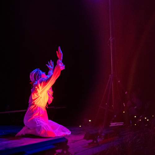 Photo #11991382