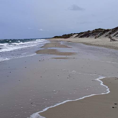 Photo #11991390