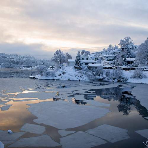 Photo #11991450