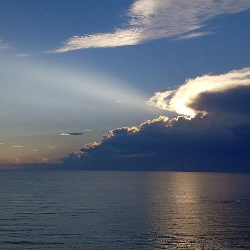 Photo #11991549