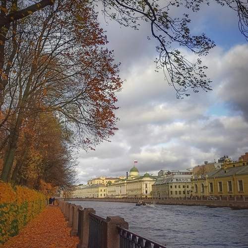 Photo #11991834
