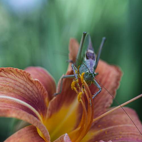 Photo #11991844
