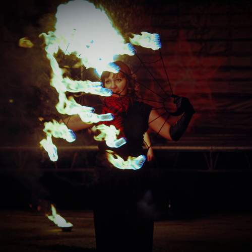 Photo #11992002